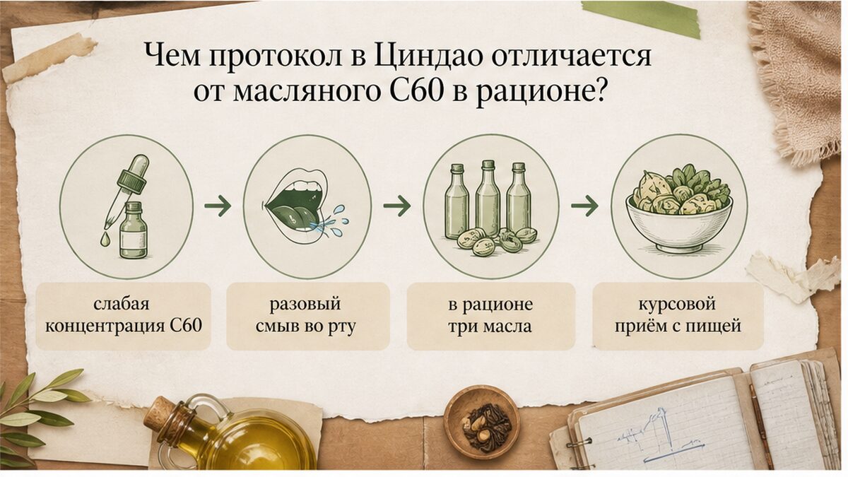 Схема: отличия протокола в Циндао от масляного C60 в рационе